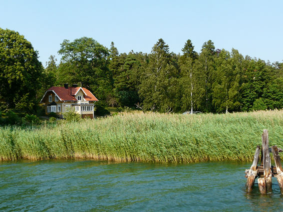 P1060067