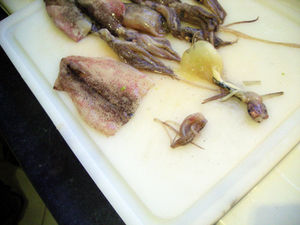 DSCN8099