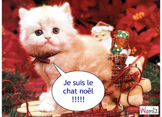 le-chat-noel-36040-48a7f04