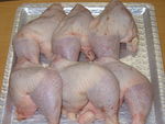 tutos_de_pollo