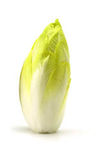 endibia01