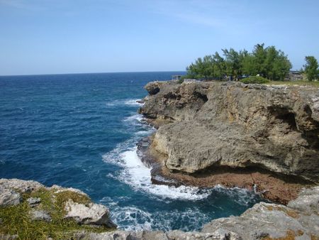 DSC07447