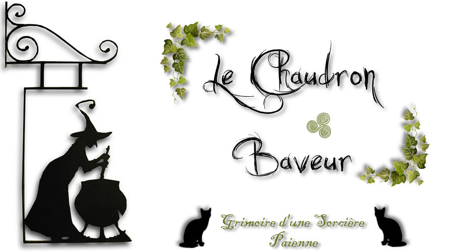 Le Chaudron Baveur