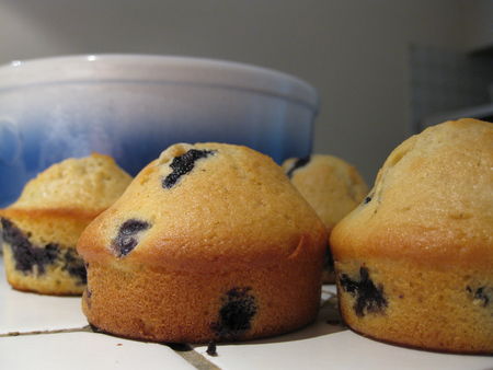 muffins_myrtilles