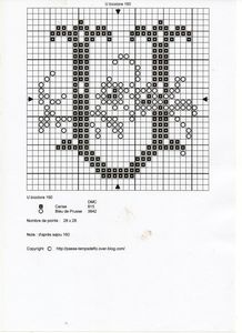 U_bicolore_160__2_