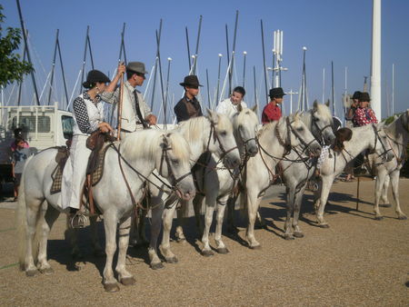 Port_Camargue_gardians___3_