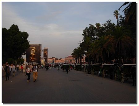 marrakech__490_