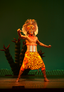 RoiLion3