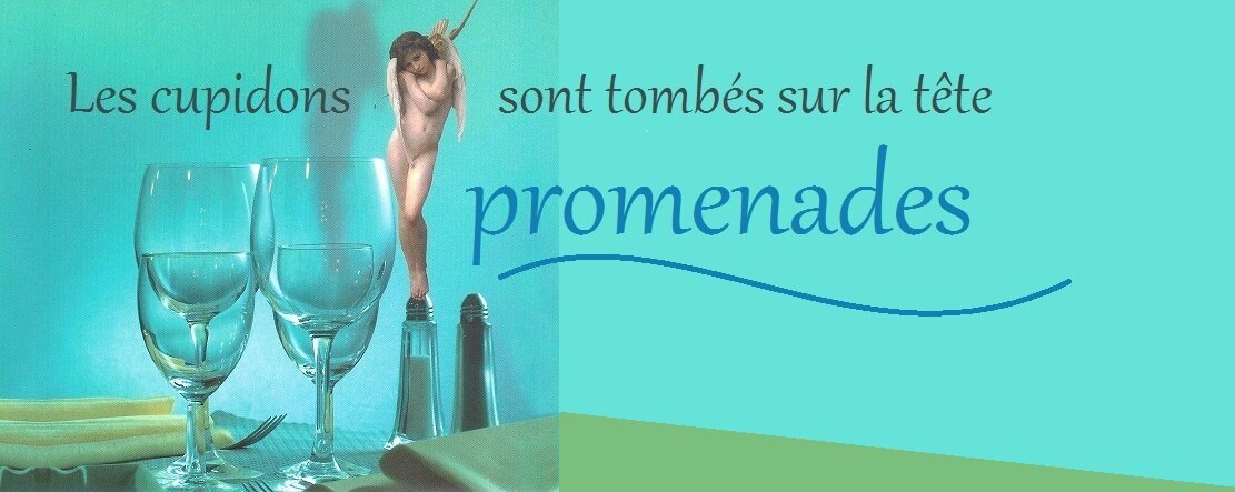 Les Cupidons sont tombés sur la tête