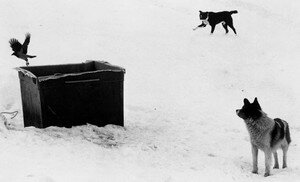 Sammallahti