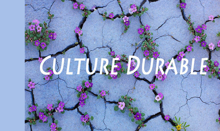 Culture Durable