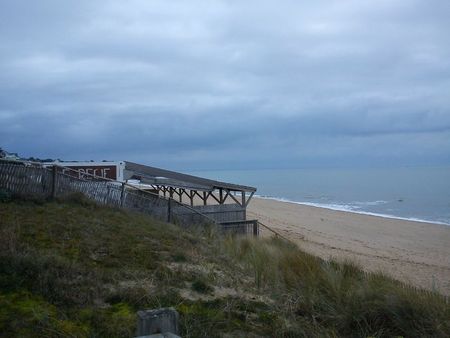 DSC00595