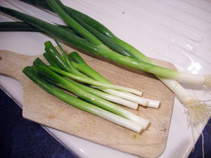 DSCN8782