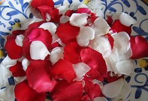 rosess2