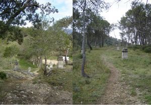 trail_Costes20099