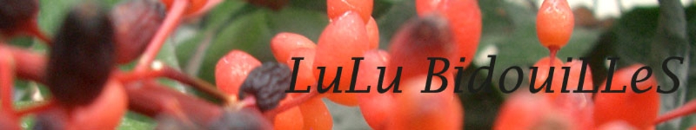 LuLu BiDouiLLes