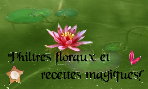 Élixir Floraux et recettes magiques!