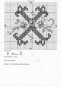 X_bicolore_160__2_