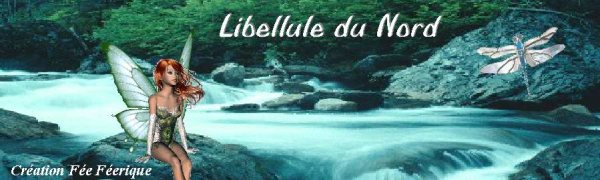 Libellule du nord