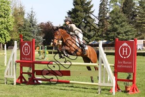 CSO_Tarbes