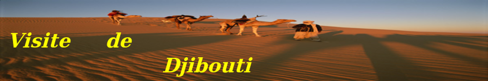 Visite de Djibouti