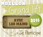 Avec-Les-Mains-Logo-Grand-lift-2016