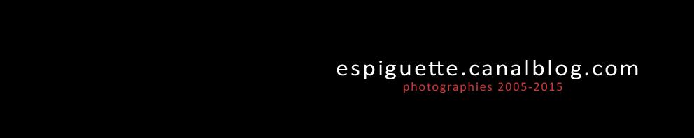 Espiguette: libres captures de pixels