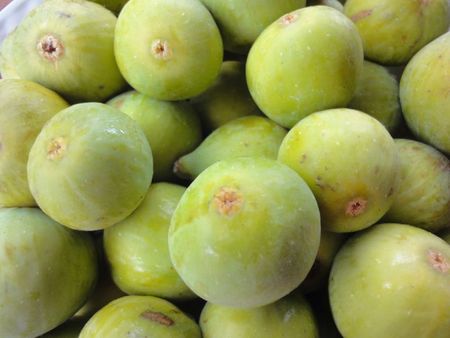 Figues2 photosN