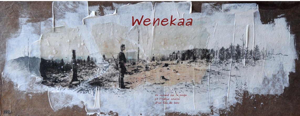 Wenekaa