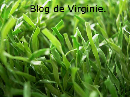 Le blog de virginie
