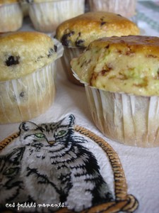 Muffins_Gat__46copie