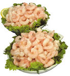 03_PetitesCrevettesOceanLea