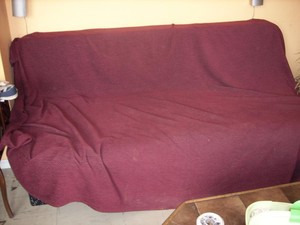 Photo_056