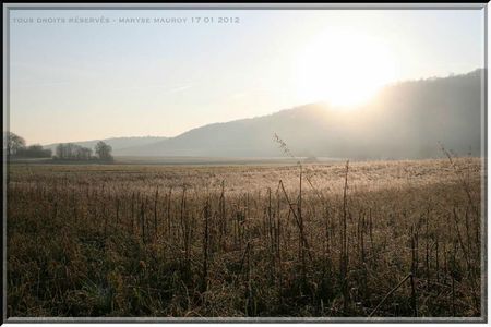 IMG_7960JC