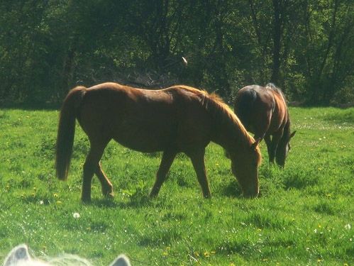 2010paq2 - Nolw (10)