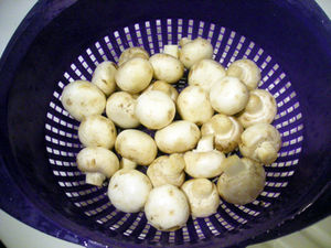 DSCN8662