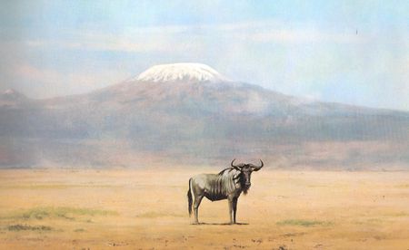kili1