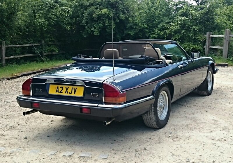 IMG_20150527_125429-1024x718