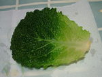 DSCF0101