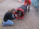 ERA en Agility 70773422_p