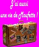 Les_tribulations_d_une_moufette_2
