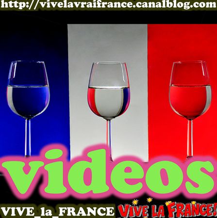 ____0___VIVE__VIDEOS