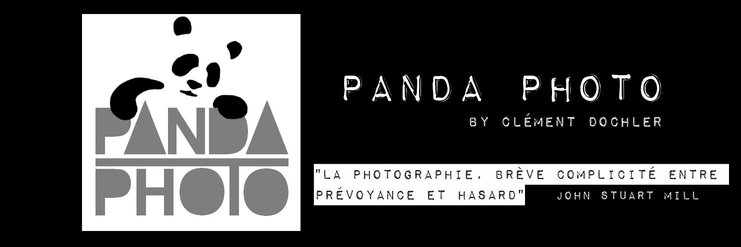 Panda Photo