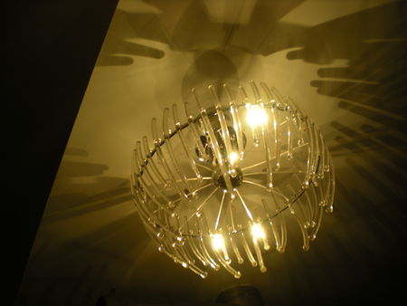 DSCN2923