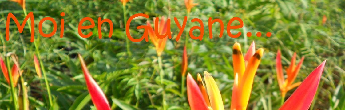 Moi en Guyane...