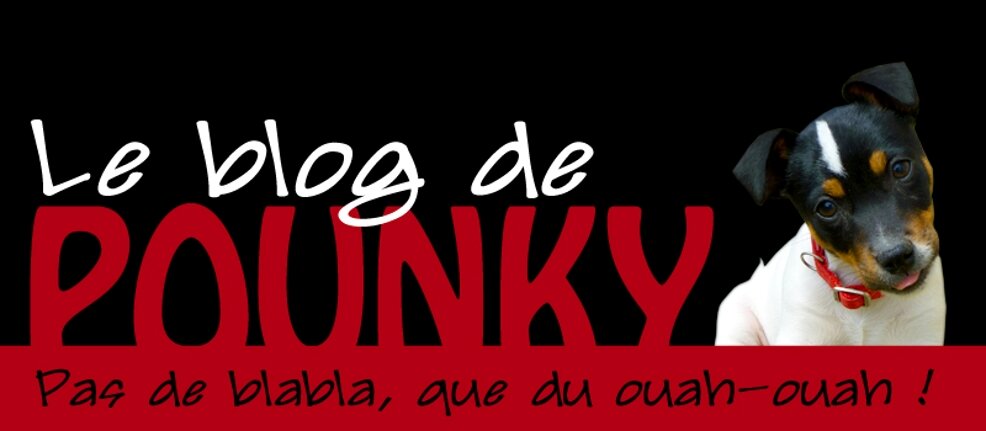 Le blog de Pounky