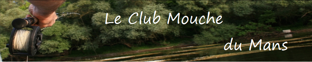 le club mouche du Mans