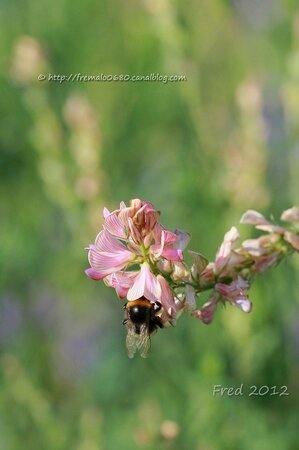 IMG_0057-signée