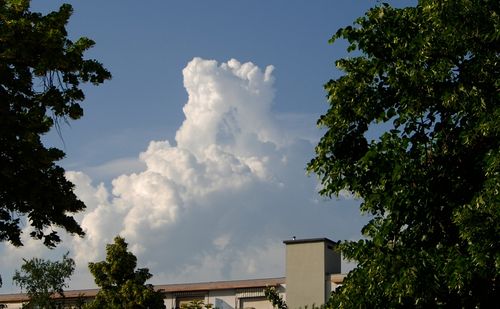 39911068_m.jpg