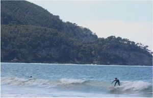 PIPELINE 3